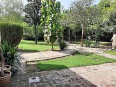 2 Kanal Developed Commercial Plot Available For Rent