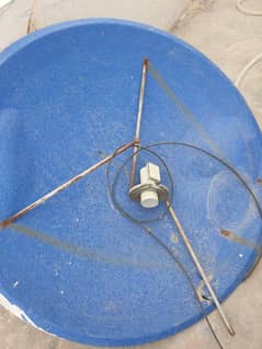 Dish