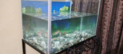 aquarium