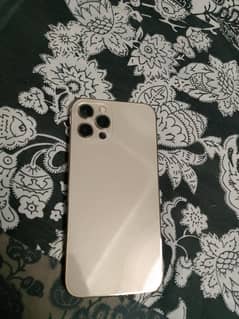 Iphone 12 pro