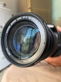 CANON ZOOM LENS EF-S 18-135mm 1:3.5-5.6IS