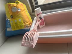 Cat stuff (liter and box, shampoo, scooper)