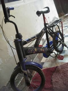 cycle