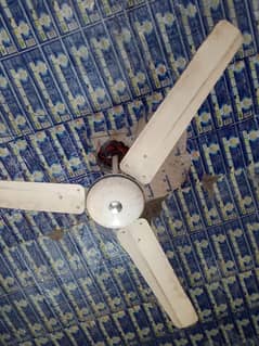 Ceiling Fan