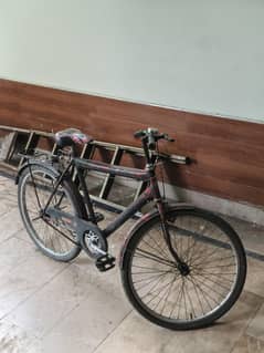 cycle