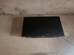 TCL
