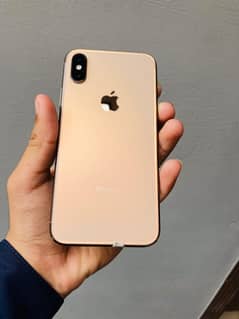 iphone xs Golden color