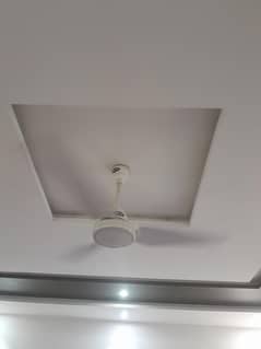 چھت