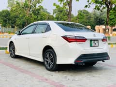 Toyota Corolla altis 2018