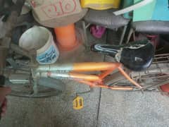 Champion bycle for sale