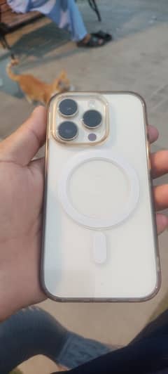 iphone 14pro PTA approved plus charger