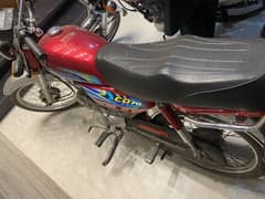 Cd 70 2024 model