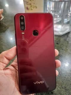 VIVO