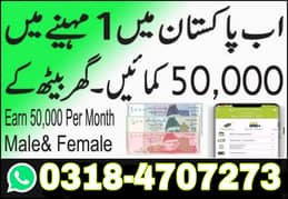 Part time/full time/Online/Data Entry/Typing/Content Writing