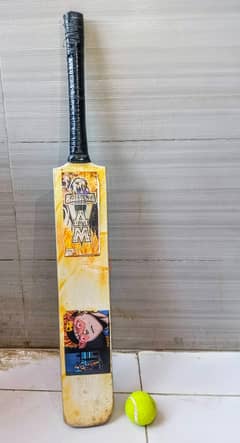 Cricket