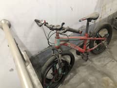 by cycle
