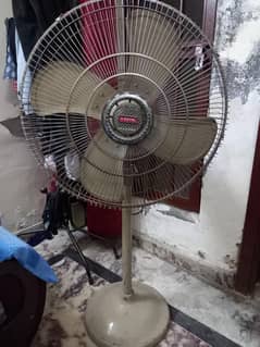 Royal pedastal fan