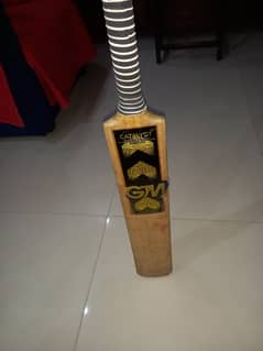 GM hardball cricket bat and gloves