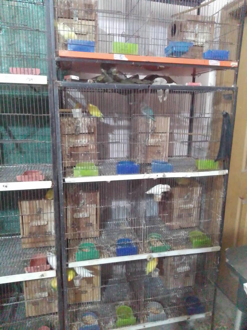 8  portion Cage  used size 3 x 1.5 x1.5 x 1.5 1