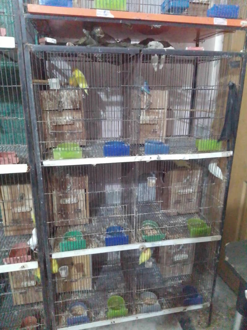 8  portion Cage  used size 3 x 1.5 x1.5 x 1.5 2