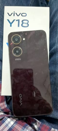 vivo