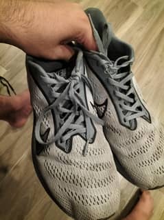 Nike pegasus zoom x1