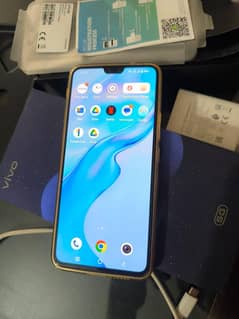 Vivo