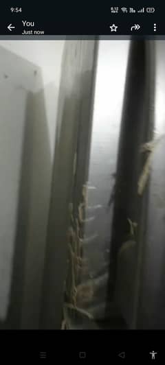 Haier