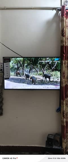 TCL LED NON ANDORID