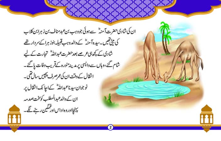 Seerat un Nabi Children's Book Series - Set of 20 Books in Urdu