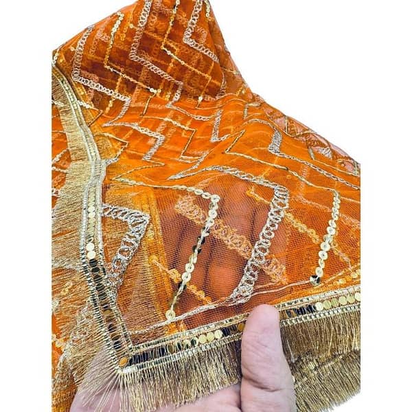 Orange Organza Dupatta with Golden Lace Trim