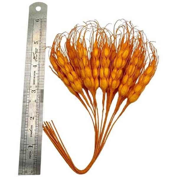 Pack of 12 Orange Dried Wheat Stalks for Floral Decor - Unisex Artificial Decorations