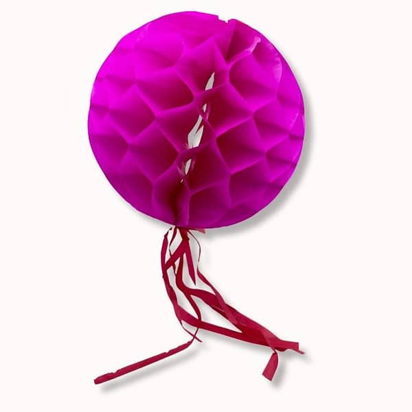 Pack of 2 Dark Pink Honeycomb Ball Decorations - 10 Inch Paper Orbs - Unisex