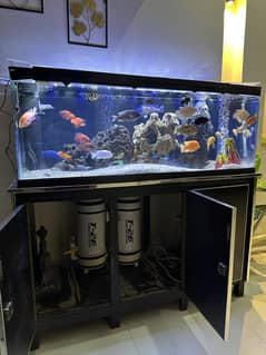4ft