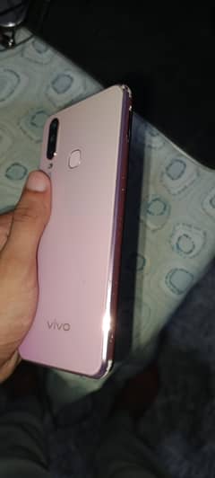 vivo
