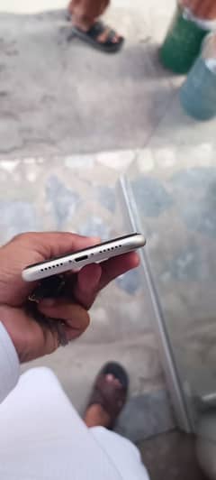 Iphone 11 Waterpack