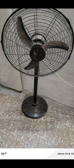 Pedestal Fan and Air cooler