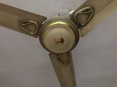 Pak Fan For Sale