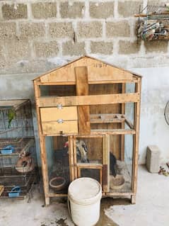 Hen wood cage 6 portion master cage and love bird and green Ringneck