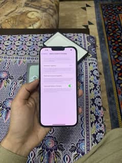 iphone 13 pro max 256 gb