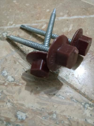 Screw with plastic cap