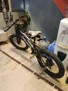 just like new cycle