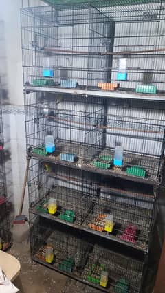 8 portion folding master cage he