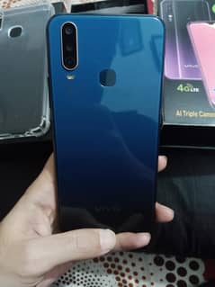 Vivo