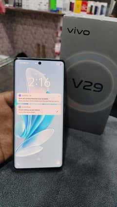 vivo