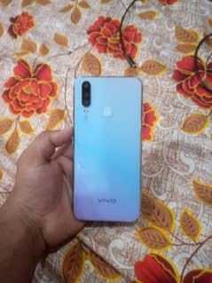 vivo