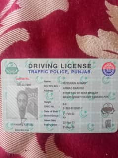 I need driving job in Bwp