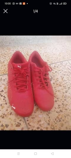 Puma original