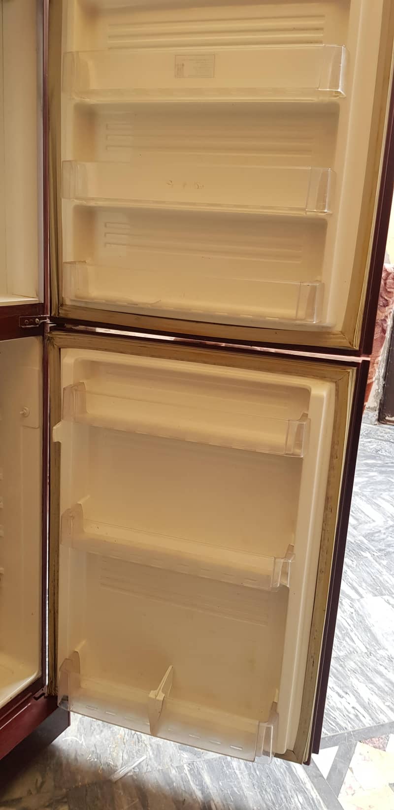 Pel Refrigerator 2