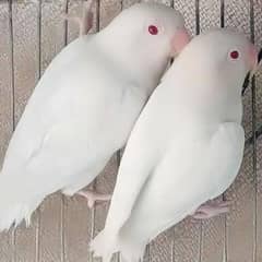 Mix